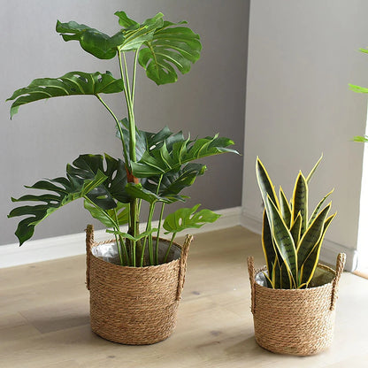 Linden Handwoven Straw Planter